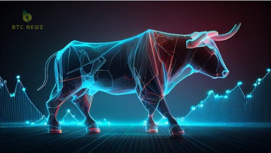 NFT Bull Market?