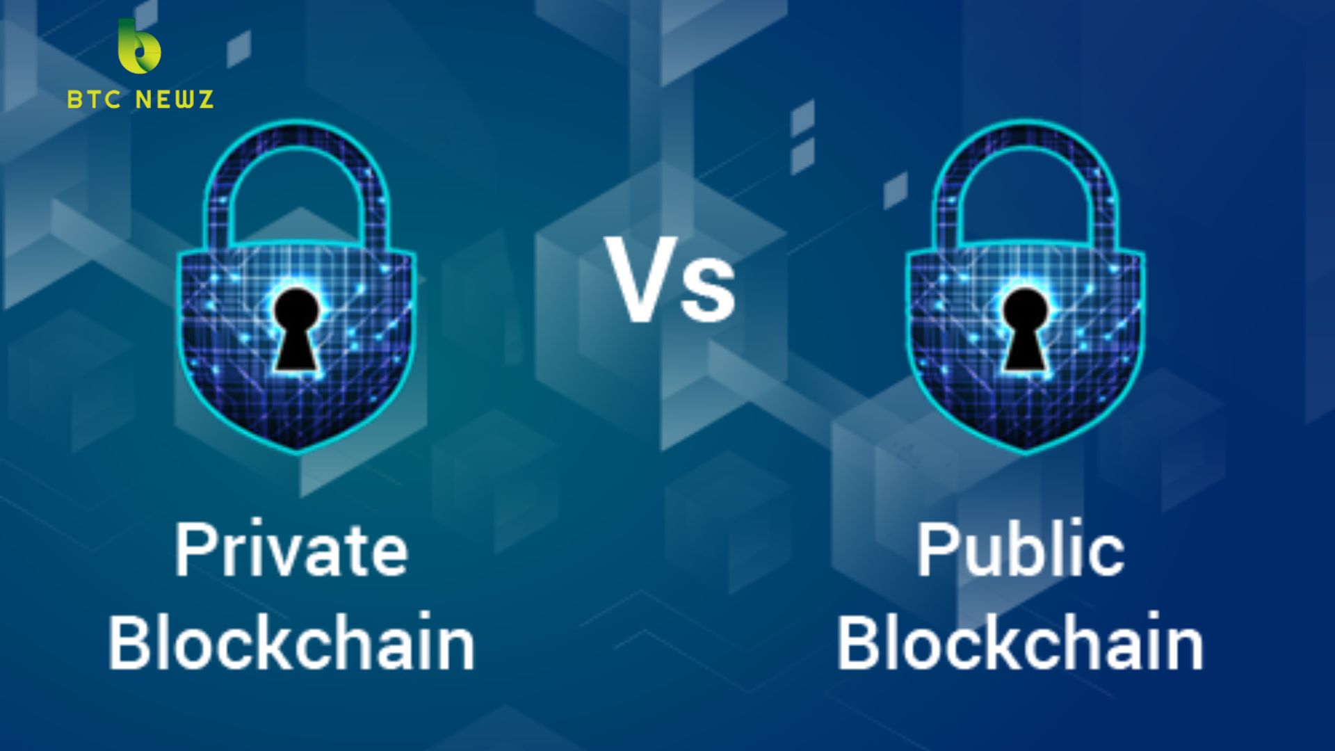 Public Blockchains vs Private Blockchains