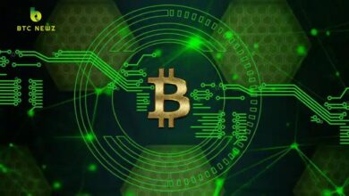 Top Altcoins Experts Are Buying Now: BTC Rebounding