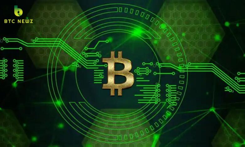 Top Altcoins Experts Are Buying Now: BTC Rebounding