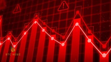 Factors Contributing to the Bearish Outlook