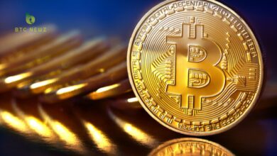 Bitcoin Expert Advises Investors on ‘Extremely Volatile’ Market