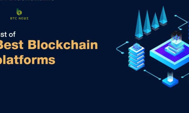 A Complete Blockchain Platform