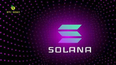 Solana NFTs