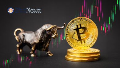 Bitcoin on Base Price Prediction