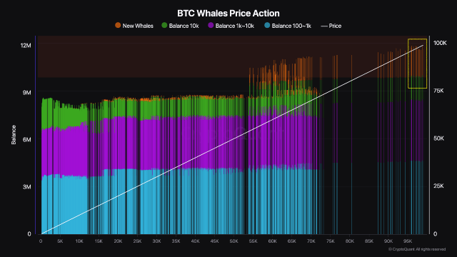 Bitcoin Whales Expect Growth