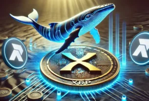 Ripple whales XRP