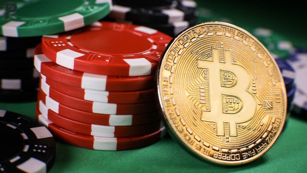 Best Bitcoin Casinos for Fast Secure and Rewarding in 2025