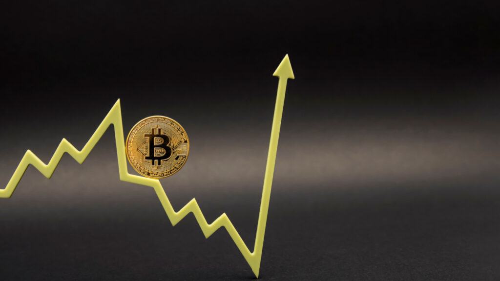 Bitcoin Price Forecast and Key Factors January 2025