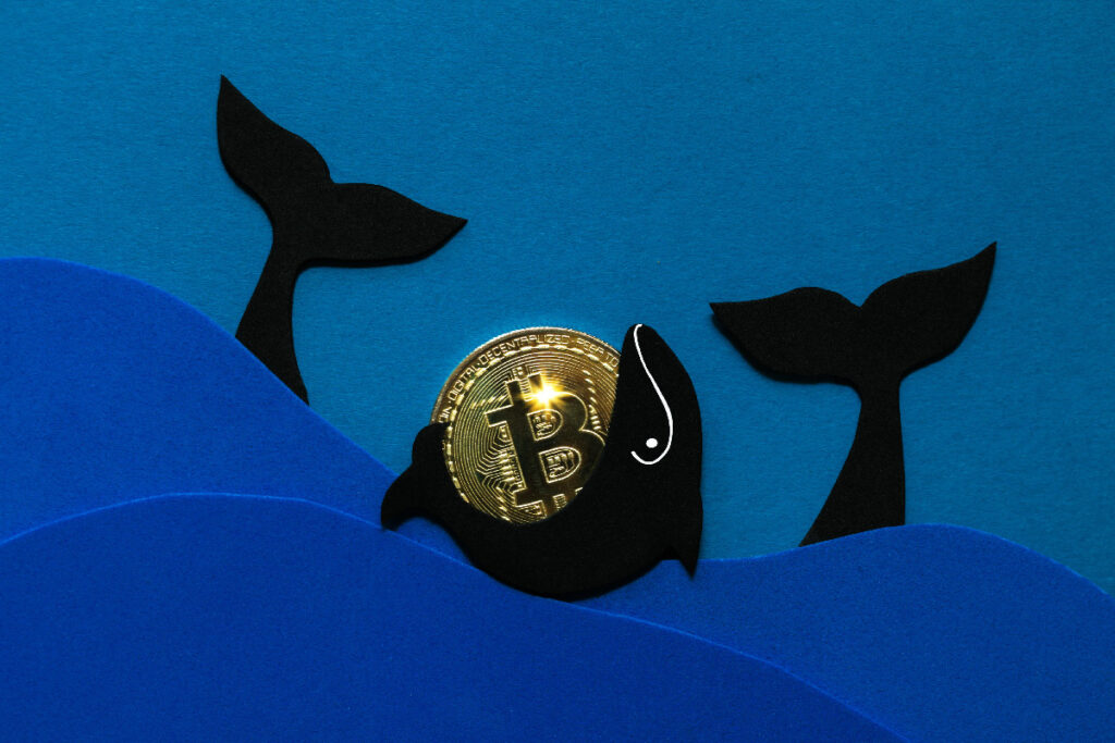 Bitcoin Whale Accumulation Impact and Future Outlook
