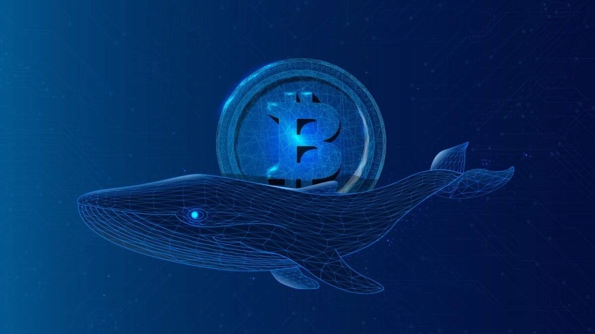 Bitcoin Whales