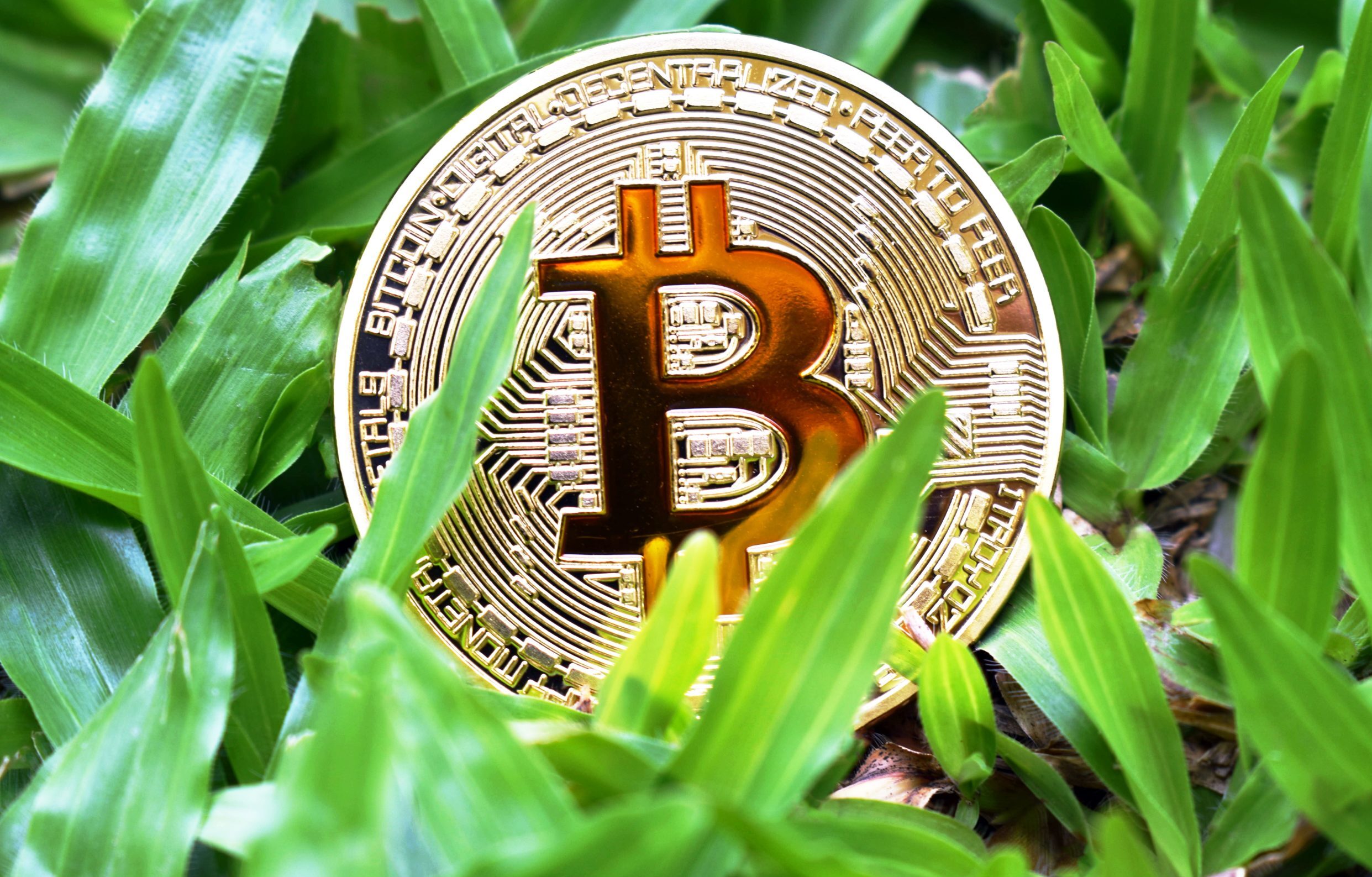 Bitcoin’s Infrastructure Advances Boost Adoption