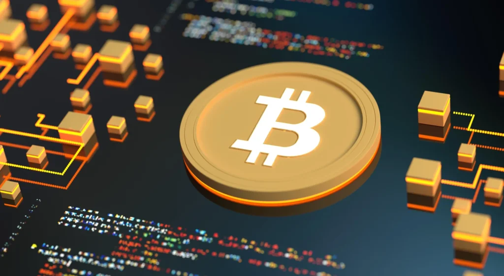 Bitcoin portfolio