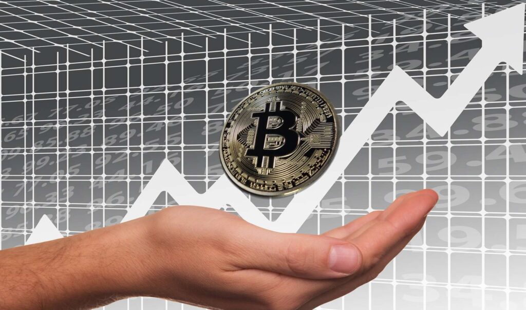 best bitcoin investment platform for beginners
