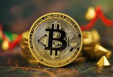 Bitcoin Price Rallies