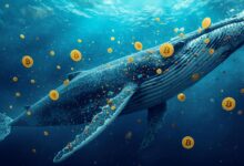 Bitcoin Whales Surge