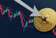 Bitcoin Price Falls