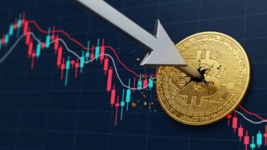 Bitcoin Price Falls