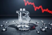 Bitcoin dives to six month