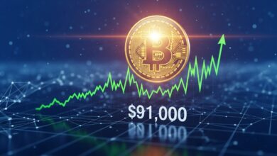 Bitcoin rebounds above $91K
