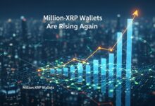 Million-XRP Wallets Are Rising Again