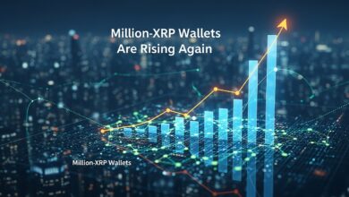 Million-XRP Wallets Are Rising Again