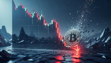 Bitcoin Price Plunge