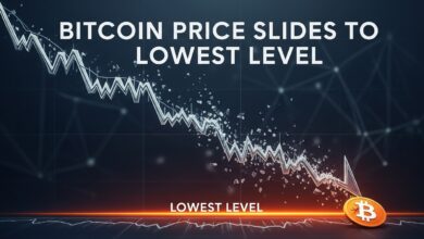 Bitcoin Price Slides to Lowest Level
