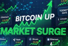 Crypto Market Up Today as Bitcoin