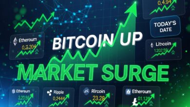 Crypto Market Up Today as Bitcoin