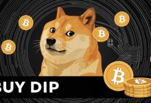 Dogecoin Holders Buy the Dip