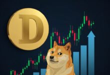 Dogecoin Is Rising Today Key Market Drivers