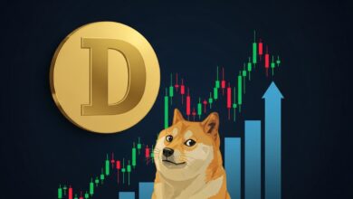 Dogecoin Is Rising Today Key Market Drivers