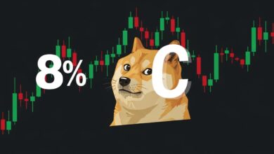 Dogecoin Price Explodes 8% Today