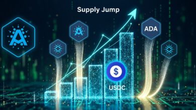 Cardano’s USDC Supply Jump Fuels